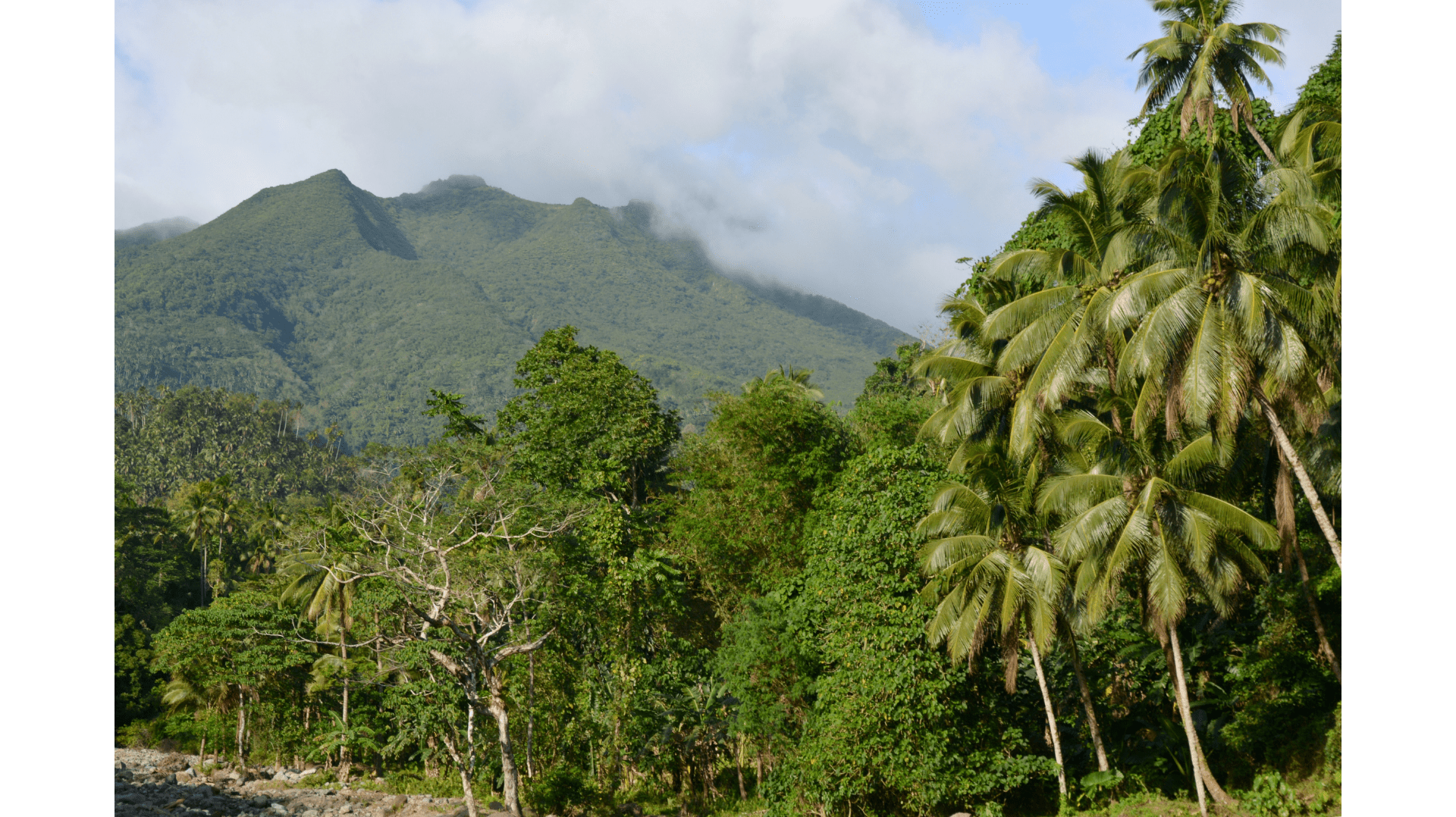 Mt. Hibok-Hibok, Camiguin’s iconic volcano, offers rainforest trails, volcanic ridges, and breathtaking island views.