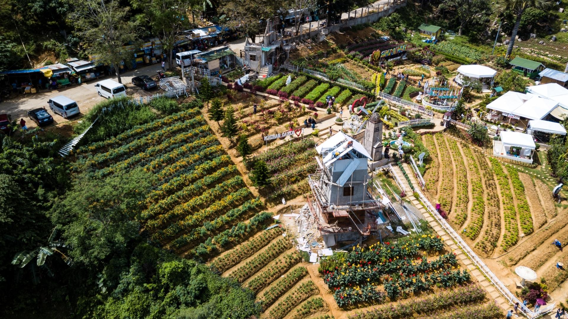 Sirao Flower Garden in Cebu, the city’s ‘Little Amsterdam,’ bursts with vibrant blooms and mountain views.